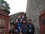 chiny 293